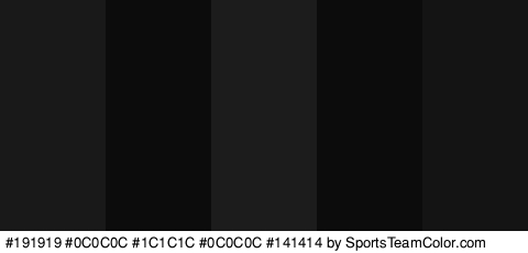 #191919 #0C0C0C #1C1C1C #0C0C0C #141414 Colors