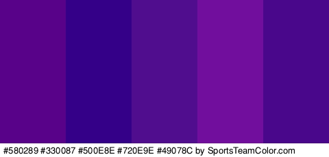 #580289 #330087 #500E8E #720E9E #49078C Colors