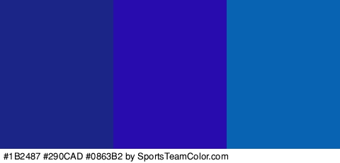 #1B2487 #290CAD #0863B2 Colors