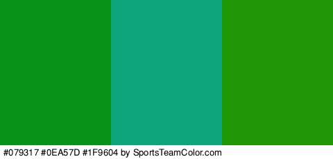 #079317 #0EA57D #1F9604 Colors