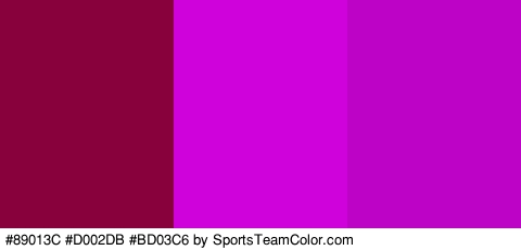 #89013C #D002DB #BD03C6 Colors