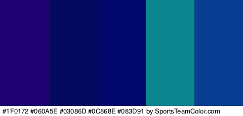 #1F0172 #060A5E #03086D #0C868E #083D91 Colors