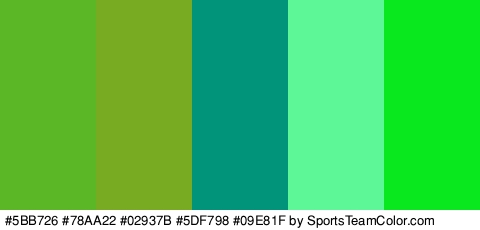 #5BB726 #78AA22 #02937B #5DF798 #09E81F Colors