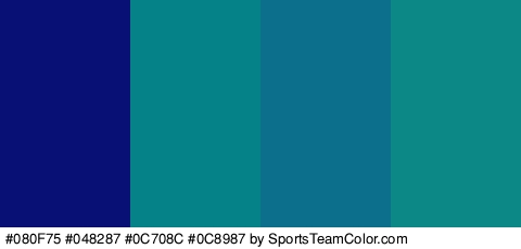 #080F75 #048287 #0C708C #0C8987 Colors