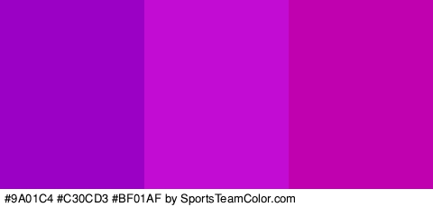 #9A01C4 #C30CD3 #BF01AF Colors