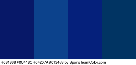 #081868 #0C418C #04207A #013463 Colors