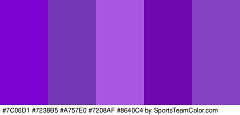 #7C06D1 #7238B5 #A757E0 #7208AF #8640C4 Colors