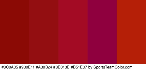 #8C0A05 #930E11 #A30B24 #8E013E #B51E07 Colors