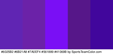 #6025B2 #6B21A8 #7A0EF4 #561889 #41069B Colors