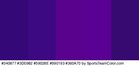 #340877 #3D0982 #59028E #590193 #360A70 Colors