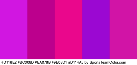 #D116E2 #BC008D #EA078B #9B08D1 #D114A5 Colors