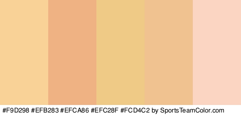 #F9D298 #EFB283 #EFCA86 #EFC28F #FCD4C2 Colors