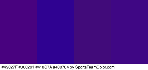 #49027F #300291 #410C7A #400784 Colors