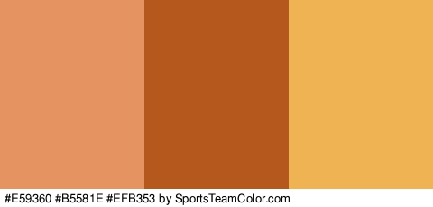 #E59360 #B5581E #EFB353 Colors