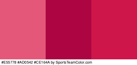 #E55778 #AD0542 #CE164A Colors