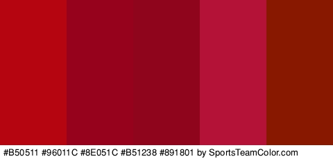 #B50511 #96011C #8E051C #B51238 #891801 Colors