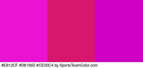 #E812CF #D8156D #CE00C4 Colors