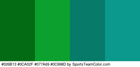 #026B13 #0CA02F #077A69 #0C998D Colors