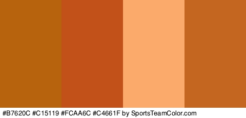 #B7620C #C15119 #FCAA6C #C4661F Colors