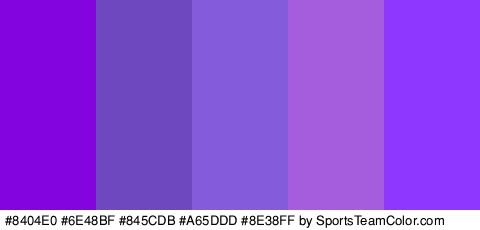 #8404E0 #6E48BF #845CDB #A65DDD #8E38FF Colors