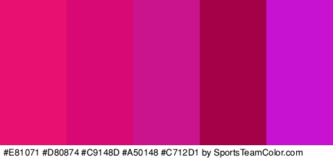 #E81071 #D80874 #C9148D #A50148 #C712D1 Colors