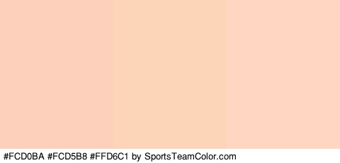 #FCD0BA #FCD5B8 #FFD6C1 Colors