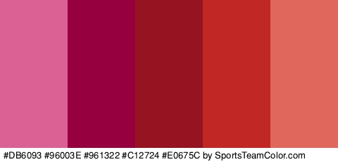 #DB6093 #96003E #961322 #C12724 #E0675C Colors