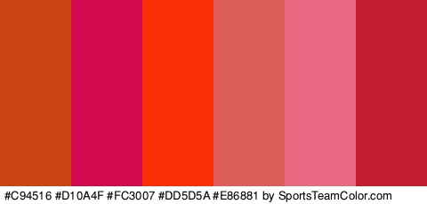 #C94516 #D10A4F #FC3007 #DD5D5A #E86881 #C41D30 Colors