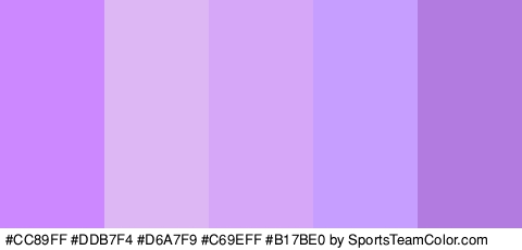 #CC89FF #DDB7F4 #D6A7F9 #C69EFF #B17BE0 Colors