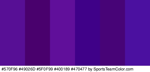 #570F96 #49026D #5F0F99 #400189 #470477 #4C10A0 Colors