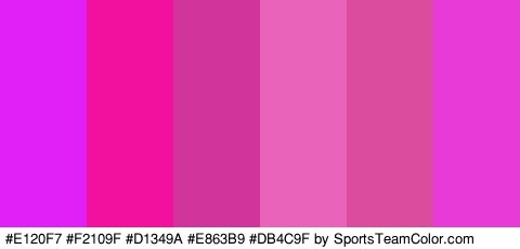 #E120F7 #F2109F #D1349A #E863B9 #DB4C9F #E83AD6 Colors