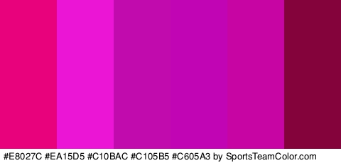 #E8027C #EA15D5 #C10BAC #C105B5 #C605A3 #84033B Colors