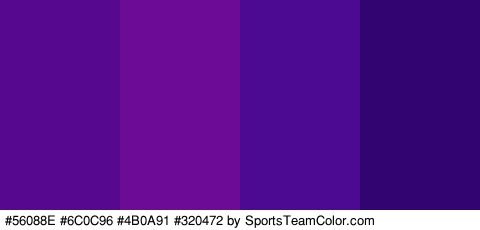 #56088E #6C0C96 #4B0A91 #320472 Colors