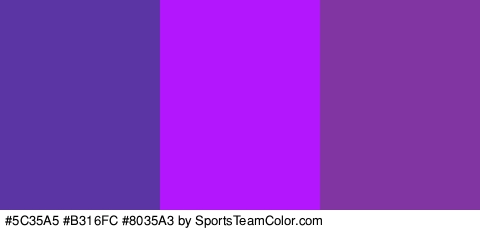 #5C35A5 #B316FC #8035A3 Colors