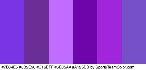 #7B34E5 #6B2E96 #C16BFF #6E05AA #A125DB #7650C9 Colors