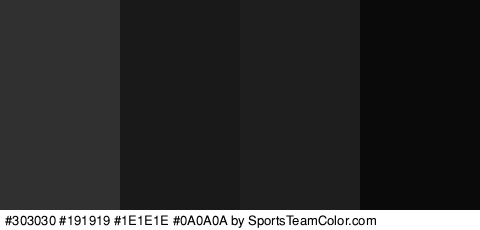 #303030 #191919 #1E1E1E #0A0A0A Colors