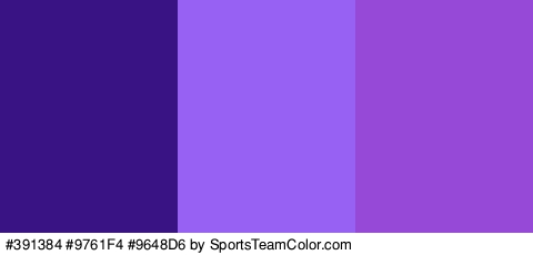 #391384 #9761F4 #9648D6 Colors