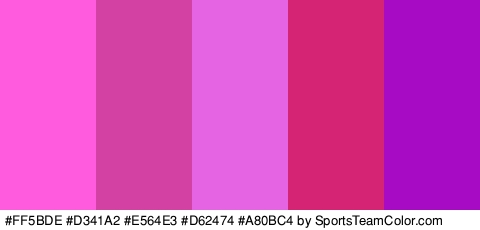 #FF5BDE #D341A2 #E564E3 #D62474 #A80BC4 Colors