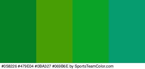 #058226 #479E04 #0BA327 #069B6E Colors