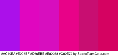 #AC10EA #E006BF #D60EBE #E80288 #C90E72 #D60261 Colors