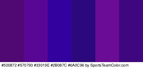 #500872 #570793 #33019E #2B087C #6A0C96 #3F077F Colors