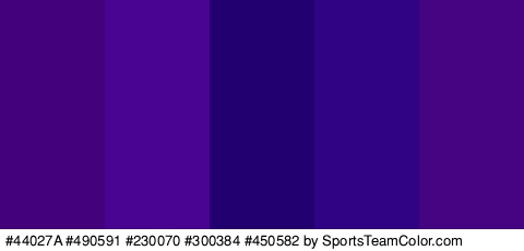 #44027A #490591 #230070 #300384 #450582 Colors