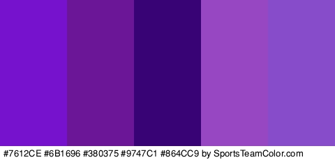 #7612CE #6B1696 #380375 #9747C1 #864CC9 Colors