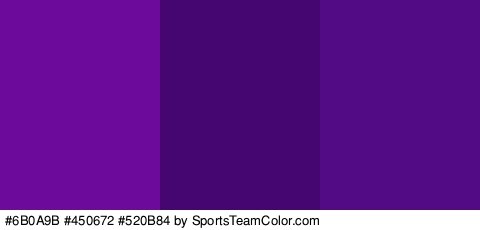 #6B0A9B #450672 #520B84 Colors