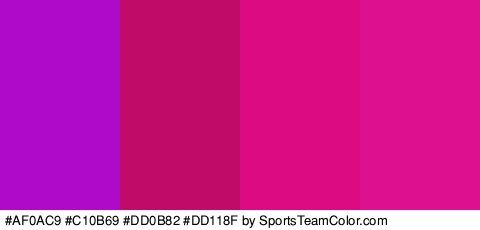 #AF0AC9 #C10B69 #DD0B82 #DD118F Colors