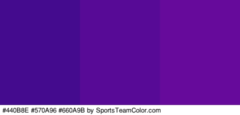 #440B8E #570A96 #660A9B Colors