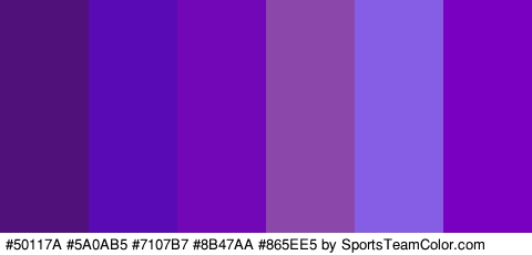 #50117A #5A0AB5 #7107B7 #8B47AA #865EE5 #7A00C1 Colors