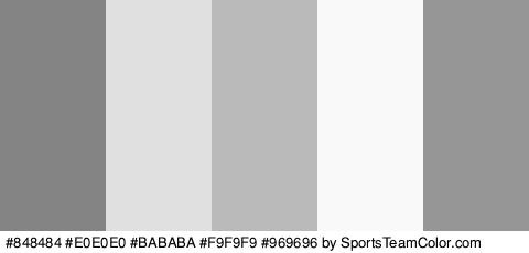 #848484 #E0E0E0 #BABABA #F9F9F9 #969696 Colors