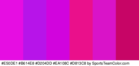 #E50DE1 #B614E8 #D204DD #EA108C #D813C8 #C60566 Colors