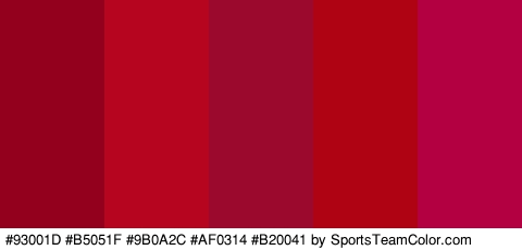 #93001D #B5051F #9B0A2C #AF0314 #B20041 Colors